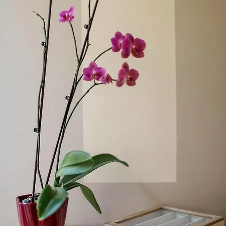 Willa Vigna Dell'acqua